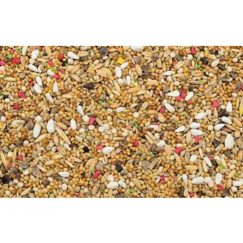 Kampol Karma Papuga Średnia Premium PAŚP z witaminami i nasionami traw 1 kg